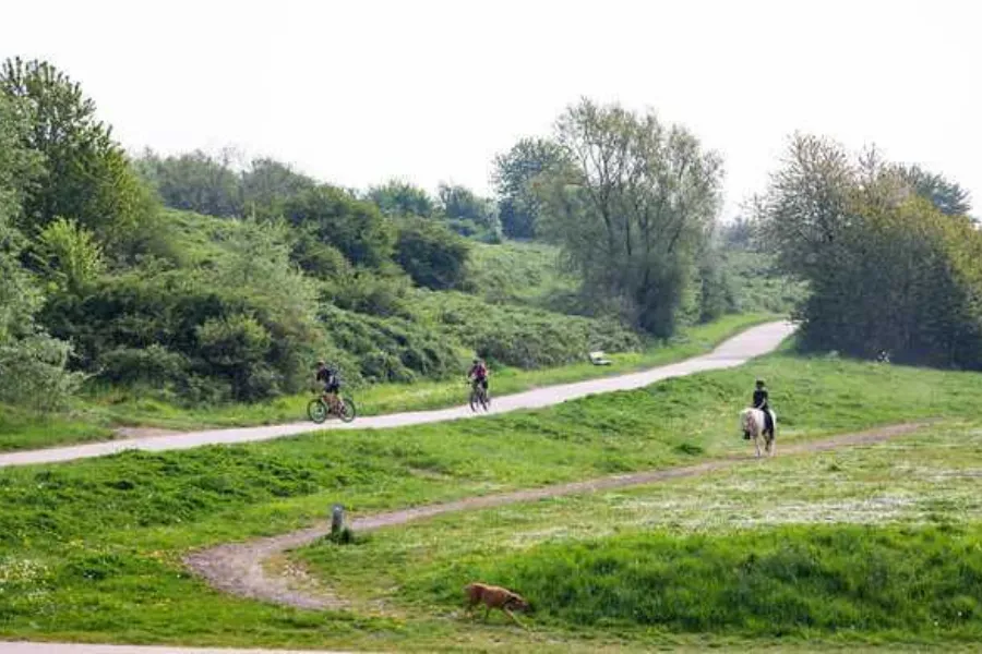 Spaarnwoude park fiets paard