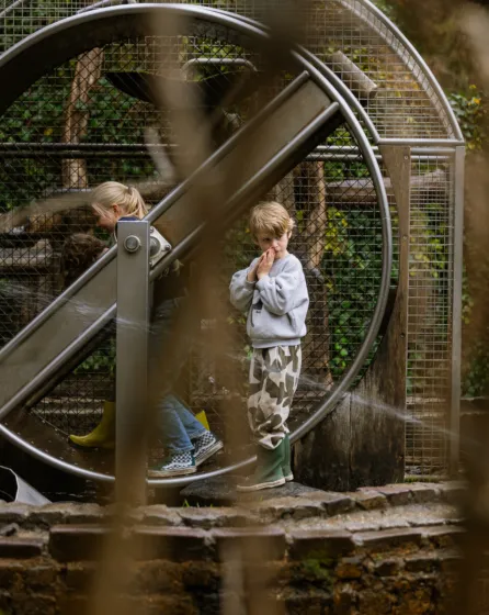 Evy Rosa kennemerduin herfst 5795