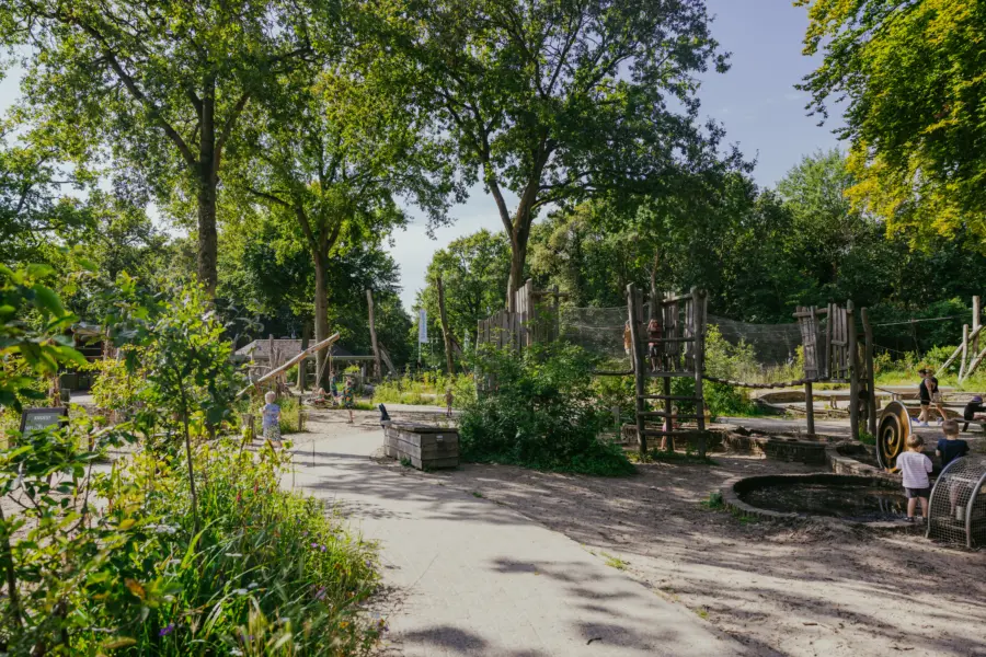 22juli24 Geversduin Fotografie HR 9 1