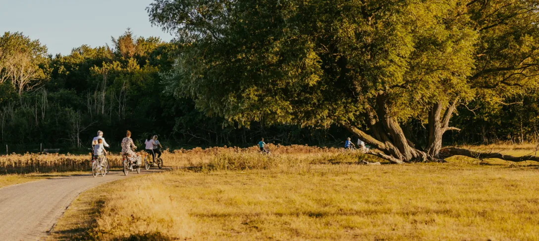 Duinen7 campinggeversduin