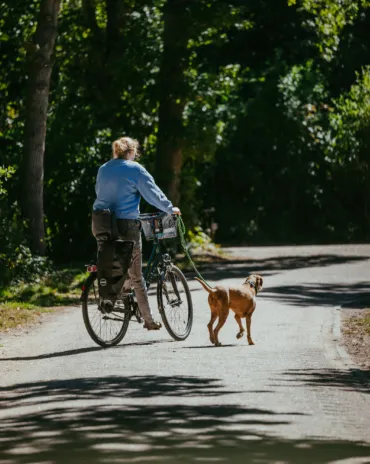 Hond fietsen lange broek