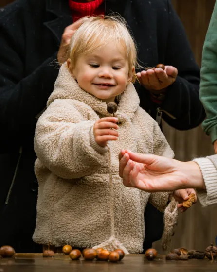 Evy Rosa kennemerduin herfst 04515