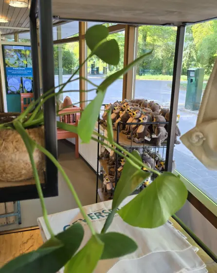 Receptieshop geversduin 6