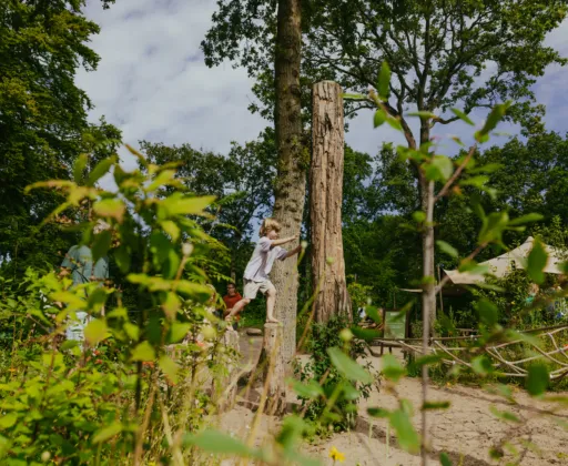 Spelen in de natuur