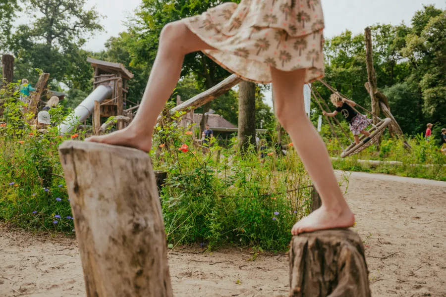 Spelen in de grote speeltuin