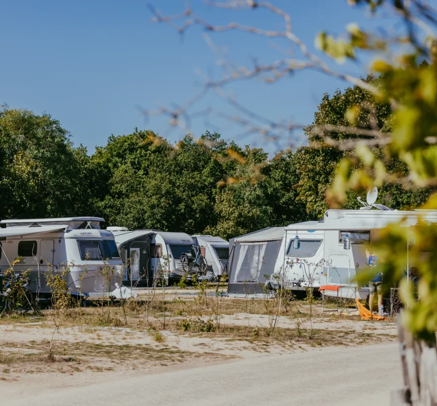 Binnenduinrand campinggeversduin