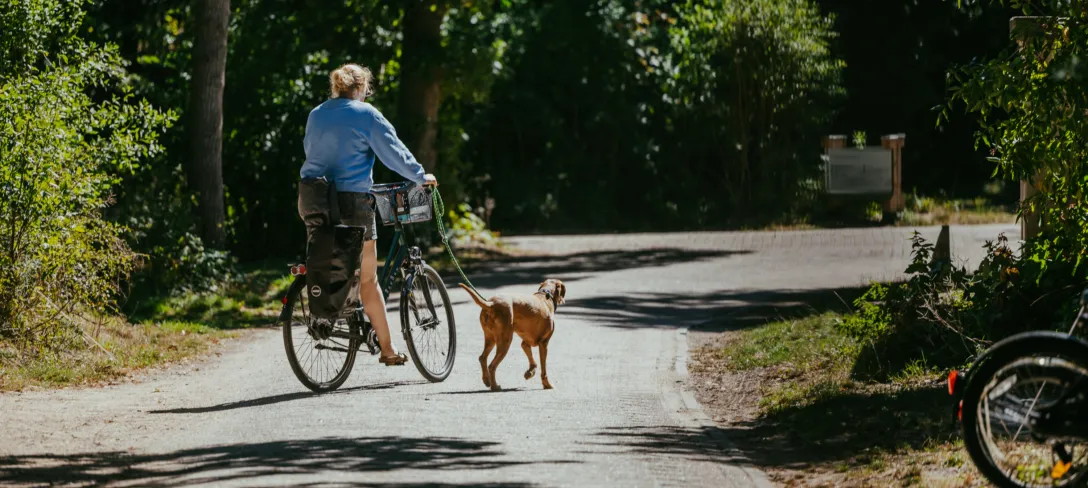 Fietsmethond campinggeversduin 1