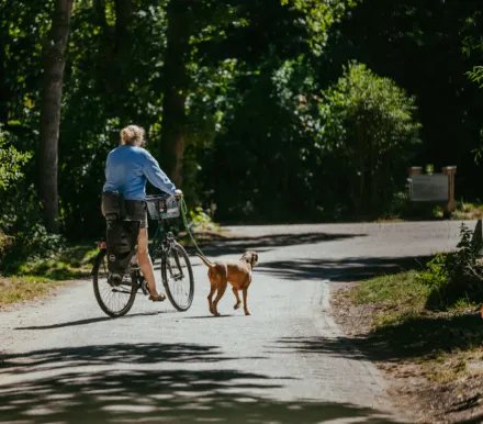 Fietsmethond campinggeversduin 1