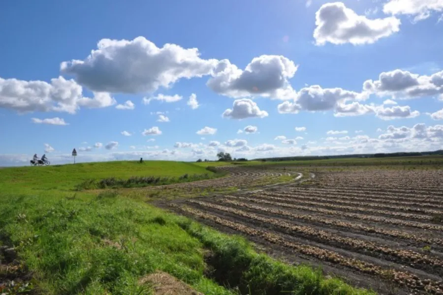 Historische wandeling castricum